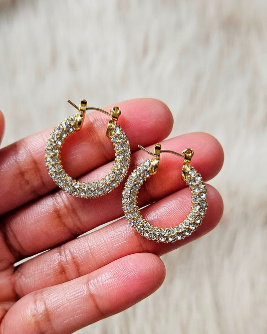 ERICA Hoops